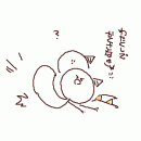 orz80416.gif