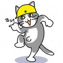 orz80468.jpg