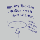 orz80505.png